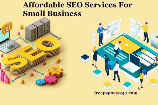 Affordable SEO Services For Small Businesses