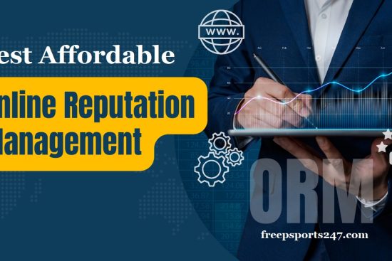 Best Affordable Online Reputation Management Company