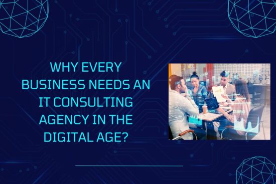 Why Every Business Needs an IT Consulting Agency in the Digital Age