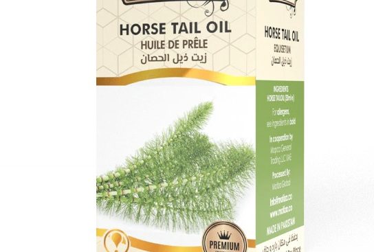 horsetail oil