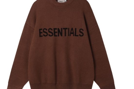 Essentials hoodie (11)