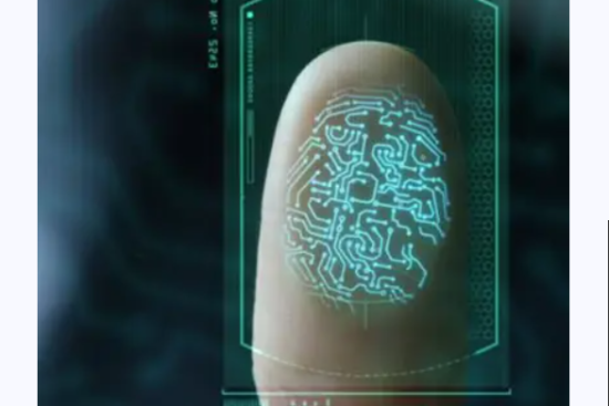 Fingerprint verification