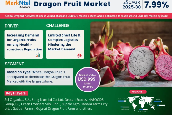 Global Dragon Fruit Market