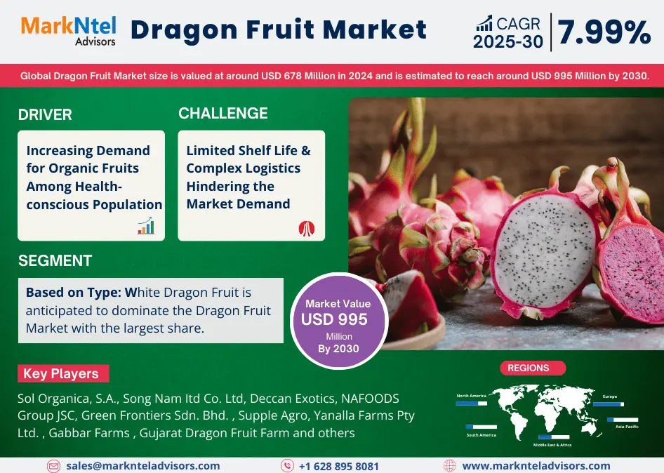 Global Dragon Fruit Market