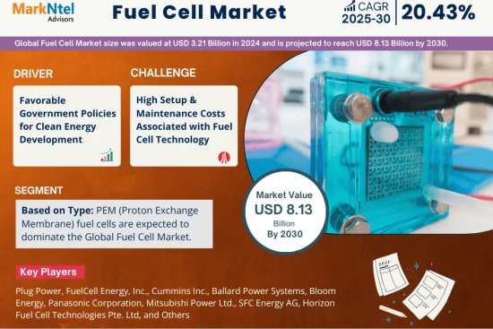 Global Fuel Cell Market