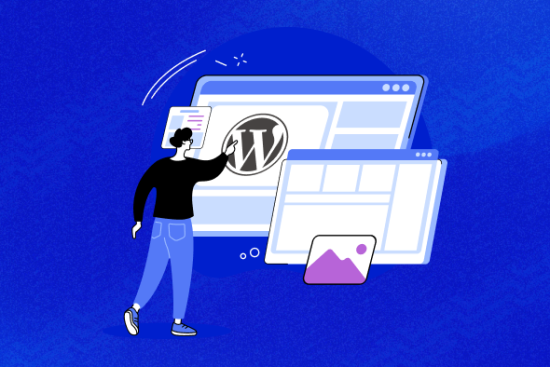 Custom WordPress Development