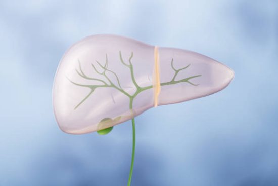 Understanding Gallbladder Pain Causes, Symptoms, and Treatment Options