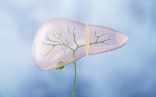 Understanding Gallbladder Pain Causes, Symptoms, and Treatment Options