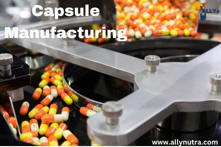 capsule manufacturing 1