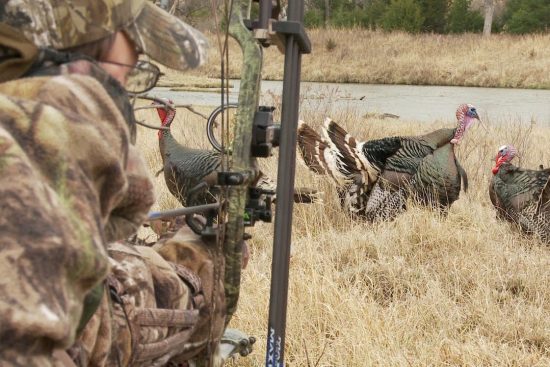 Planning a Multi-State Turkey Hunting Road Trip