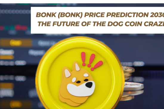 Bonk Coin Price Forecast for 2030 How High Can It Go (1)