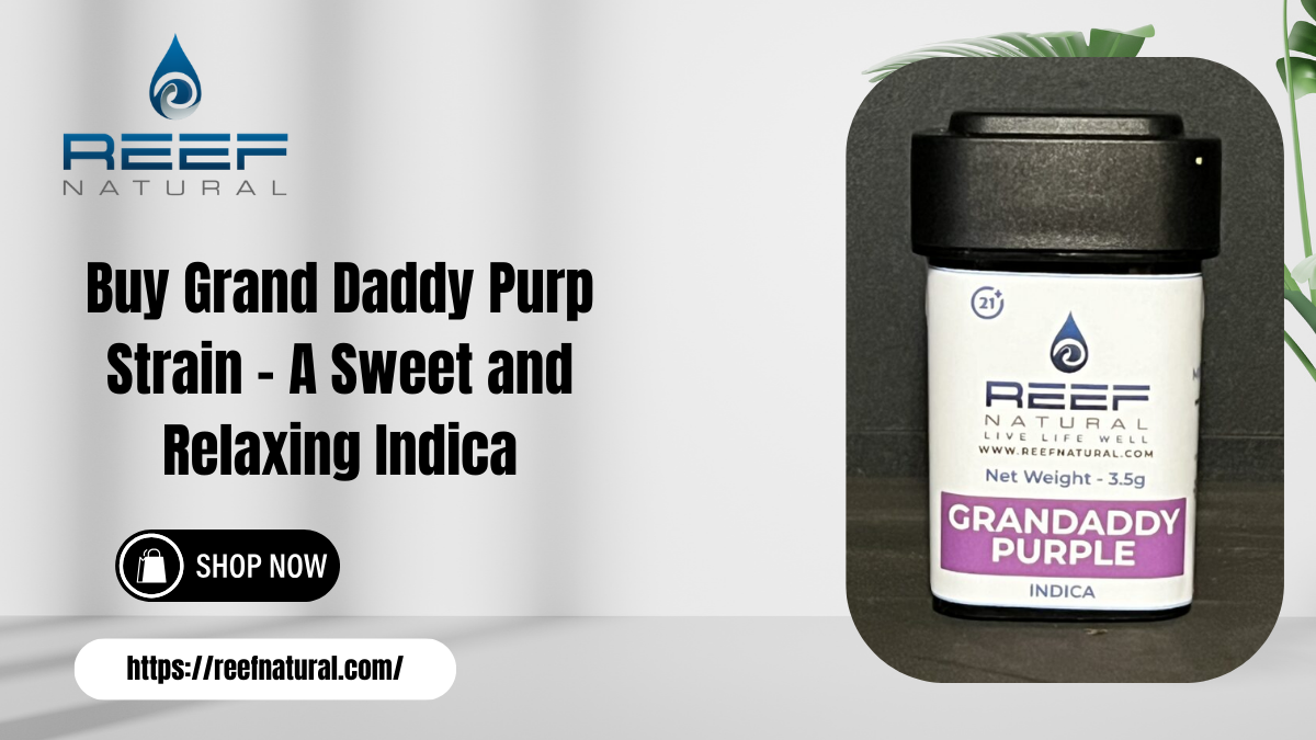 Buy Grand Daddy Purp Strain – A Sweet and Relaxing Indica