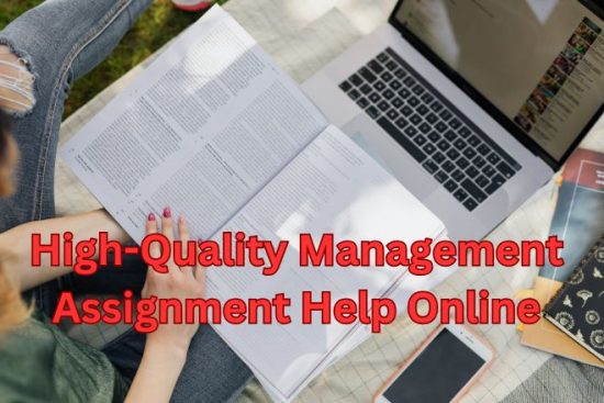 High-Quality Management Assignment Help Online