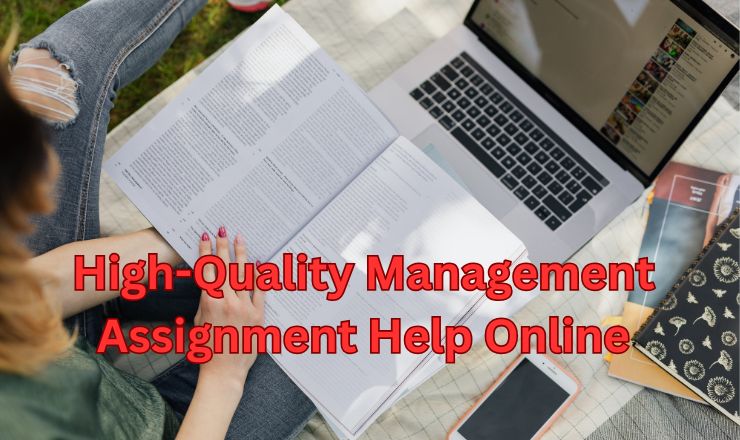 High-Quality Management Assignment Help Online