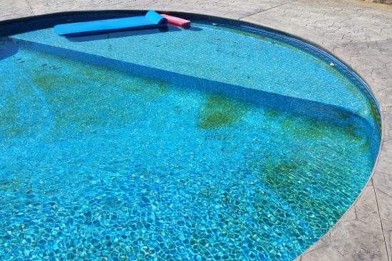 How To Remove Black Mold From Pool Liner