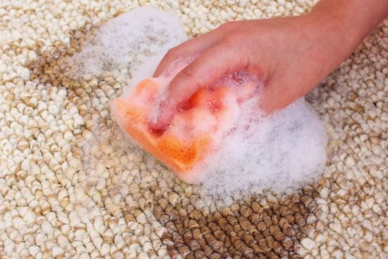 How To Remove Vomit Odor From Carpet