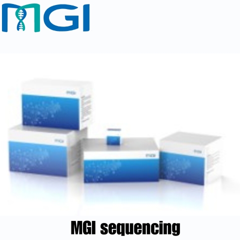 MGI sequencing