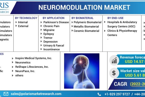 Neuromodulation-Market