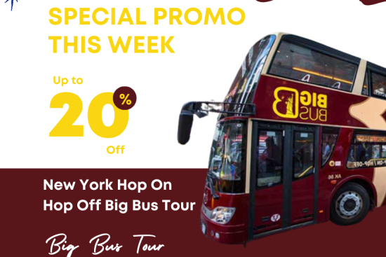 New York Hop On Hop Off Big Bus Tour