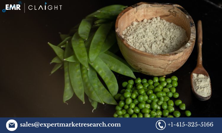 Pea Protein Market (1)