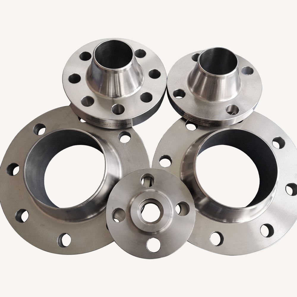 Titanium Flanges1