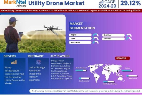 Utility Drone Market