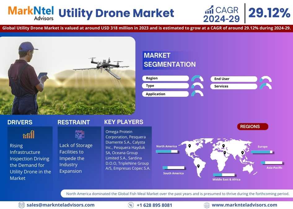 Utility Drone Market