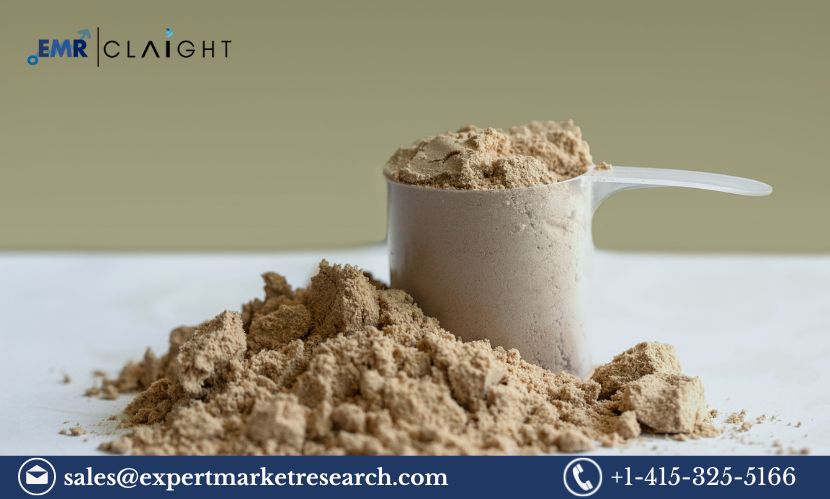 Whey Protein Market (1)