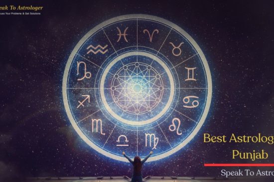 best astrologer in punjab