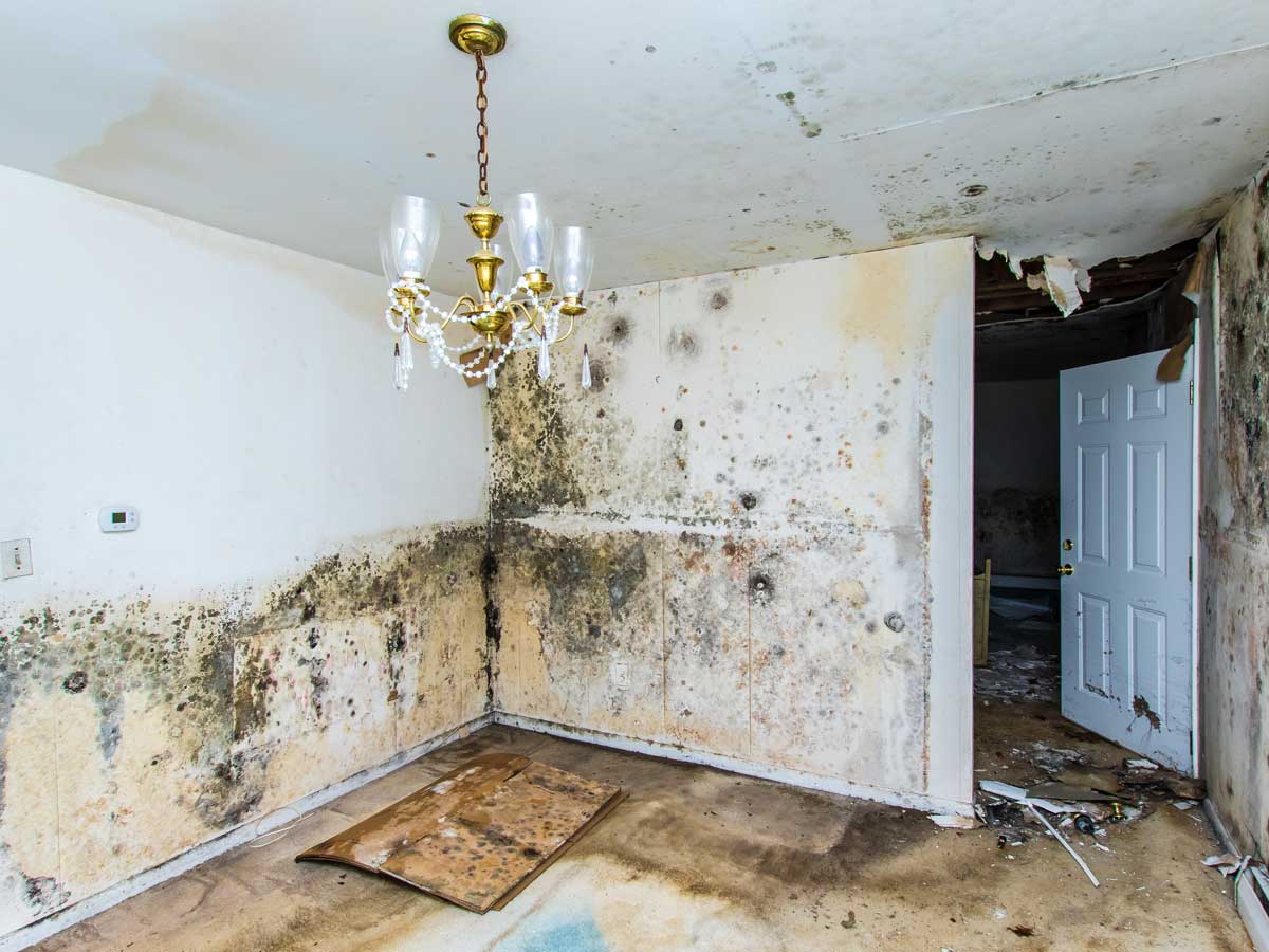 7-Common-Misconceptions-About-Water-Damage-Repair