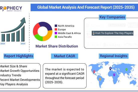 Global Market Analysis and Forecast Report-01