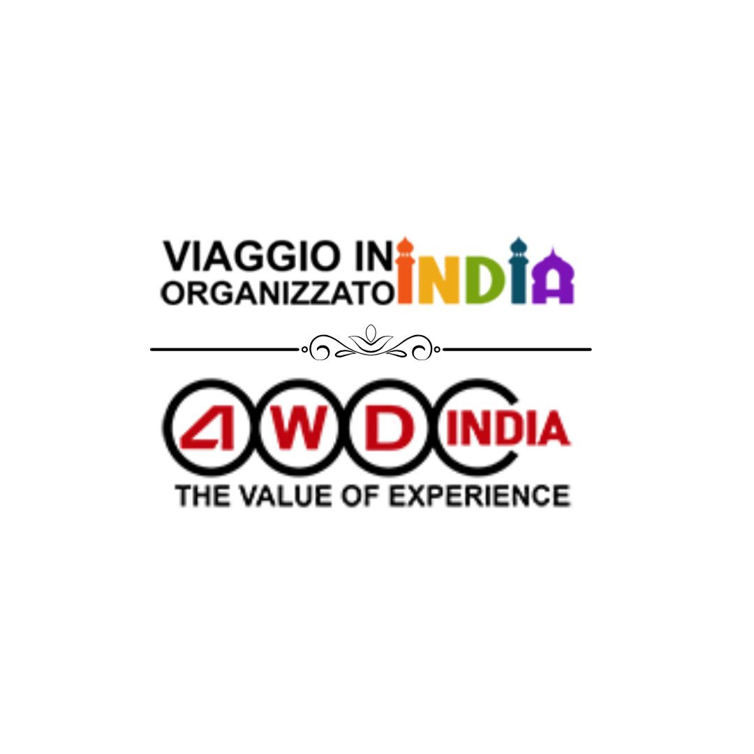 viaggio in india organizzato